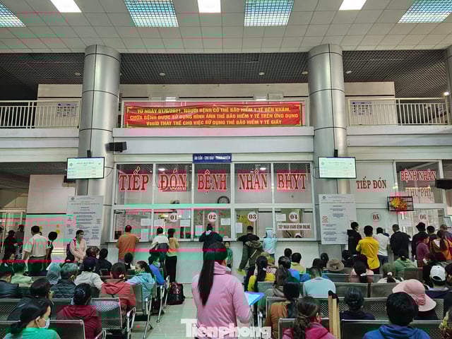 Ảnh bìa bài viết 1011923