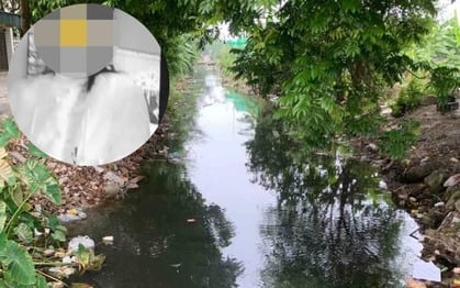 Ảnh bìa bài viết 1012141