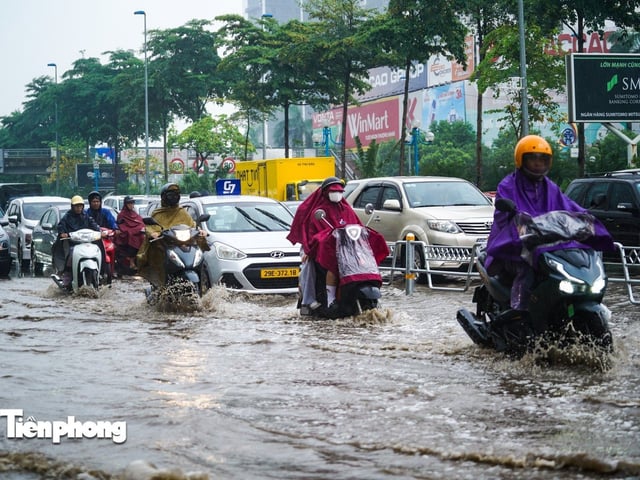 Ảnh bìa bài viết 1012393