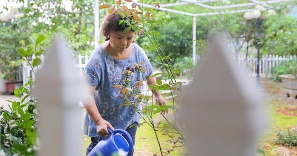 Ảnh bìa bài viết 1012484