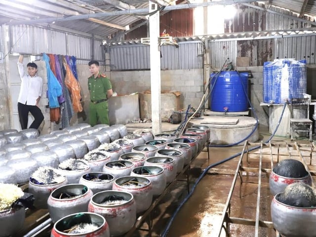 Ảnh bìa bài viết 1012589