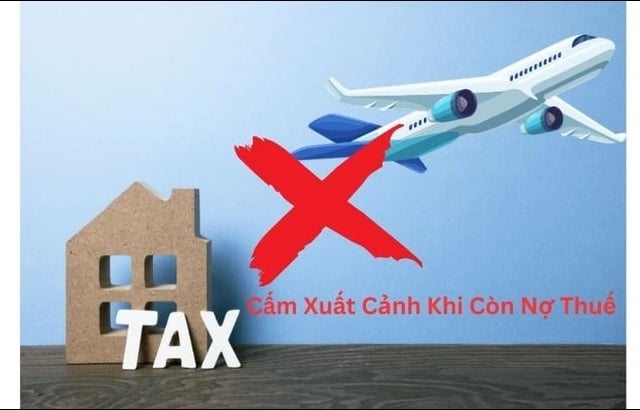 Ảnh bìa bài viết 1012612