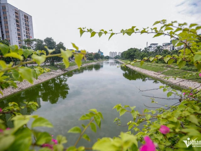 Ảnh bìa bài viết 1012784
