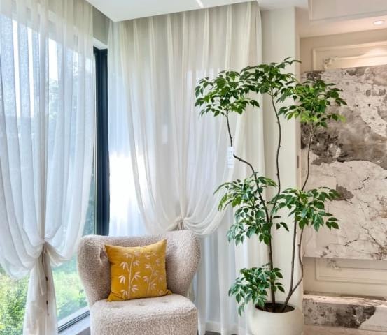 Ảnh bìa bài viết 1012816