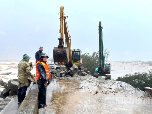 Ảnh bìa bài viết 1013349