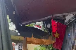 Ảnh bìa bài viết 1013375