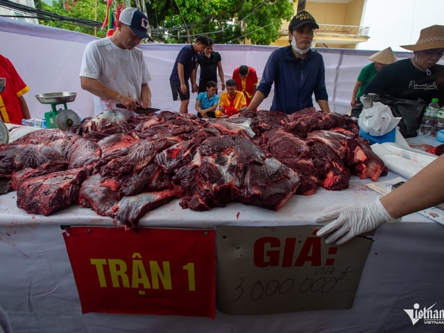 Ảnh bìa bài viết 1013503