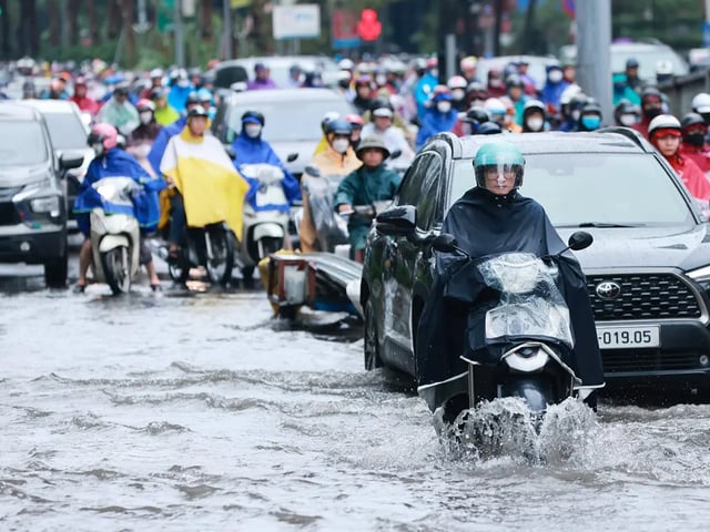 Ảnh bìa bài viết 1013564