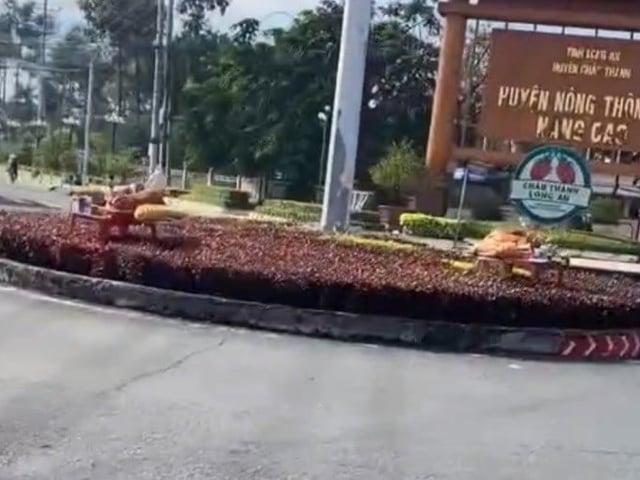Ảnh bìa bài viết 1014060