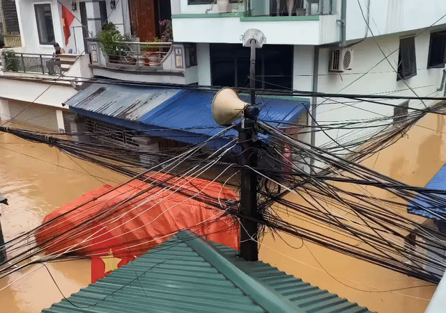 Ảnh bìa bài viết 1015108