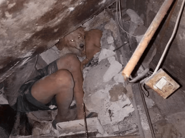 Ảnh bìa bài viết 1015457