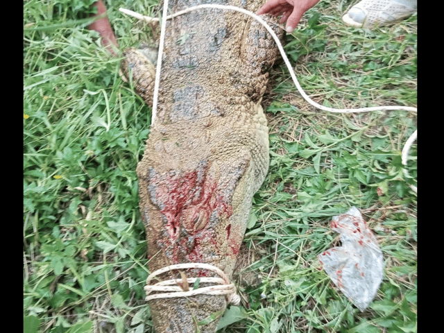 Ảnh bìa bài viết 1015558