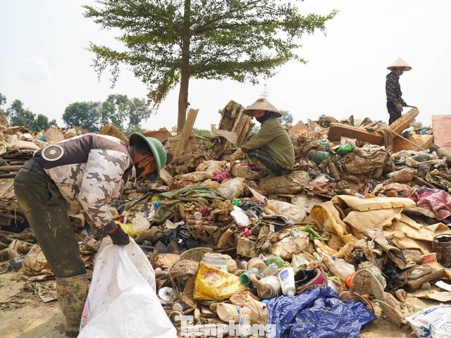 Ảnh bìa bài viết 1015701