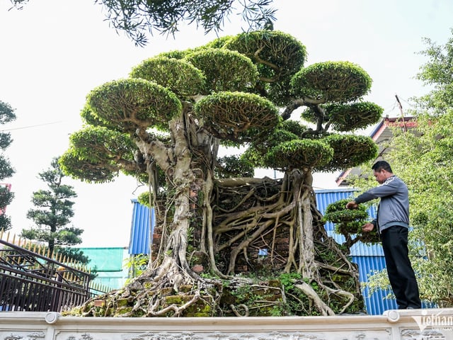 Ảnh bìa bài viết 1015794