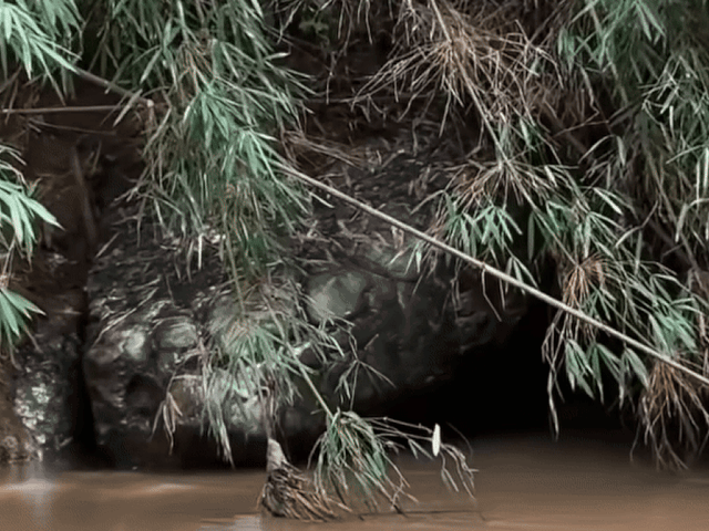 Ảnh bìa bài viết 1015871