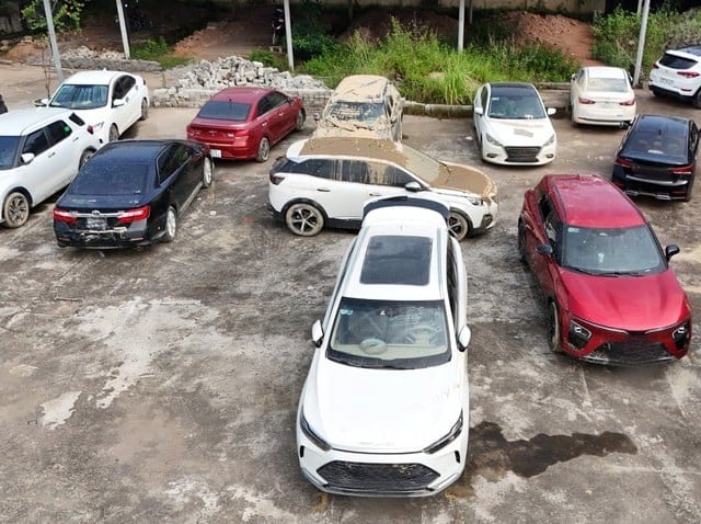 Ảnh bìa bài viết 1016079