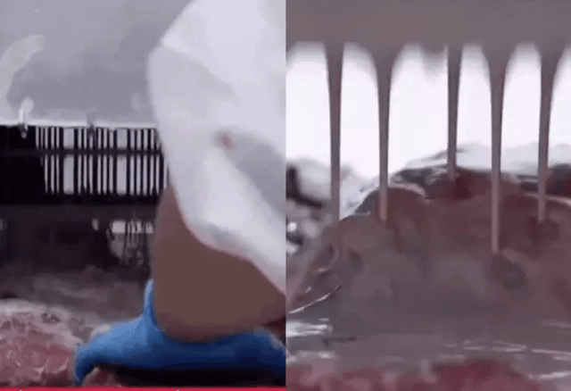 Ảnh bìa bài viết 1016099