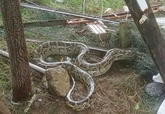 Ảnh bìa bài viết 1016176