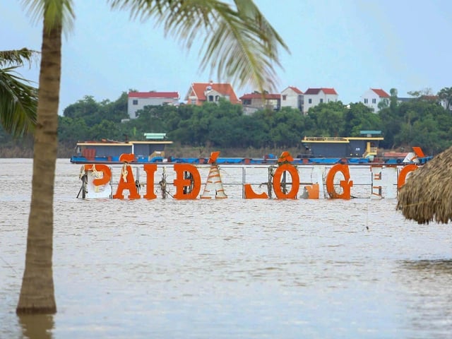 Ảnh bìa bài viết 1016331