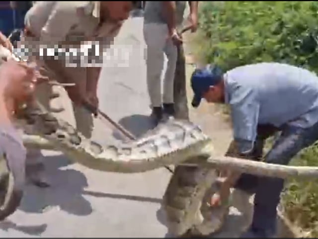 Ảnh bìa bài viết 1016547