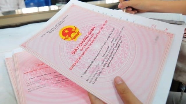 Ảnh bìa bài viết 1016911