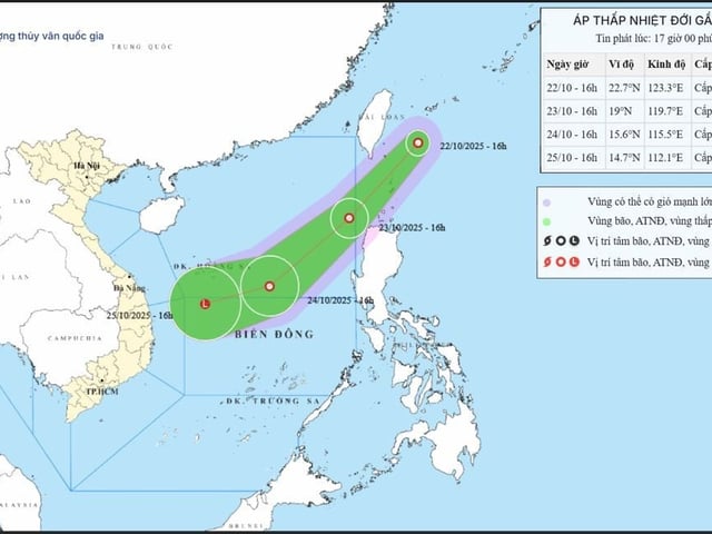 Ảnh bìa bài viết 1017006