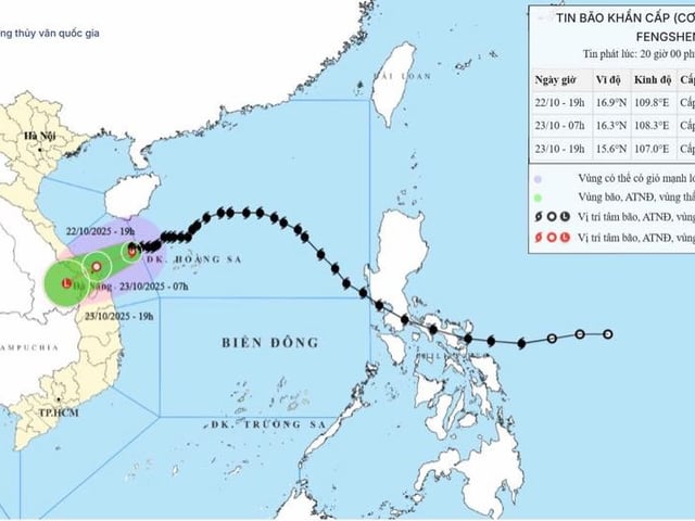 Ảnh bìa bài viết 1017011