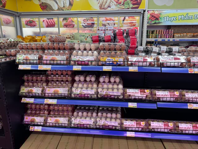 Ảnh bìa bài viết 1017298