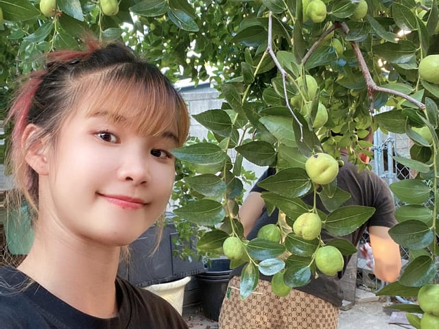 Ảnh bìa bài viết 1017308