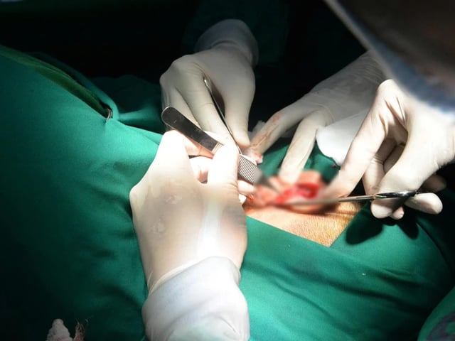 Ảnh bìa bài viết 1017387