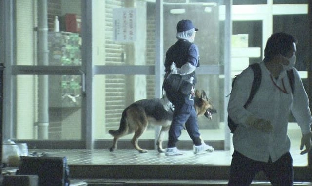 Ảnh bìa bài viết 1017424