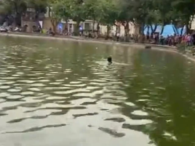 Ảnh bìa bài viết 1017659