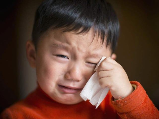 Ảnh bìa bài viết 1017670