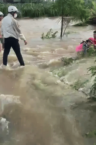 Ảnh bìa bài viết 1017717