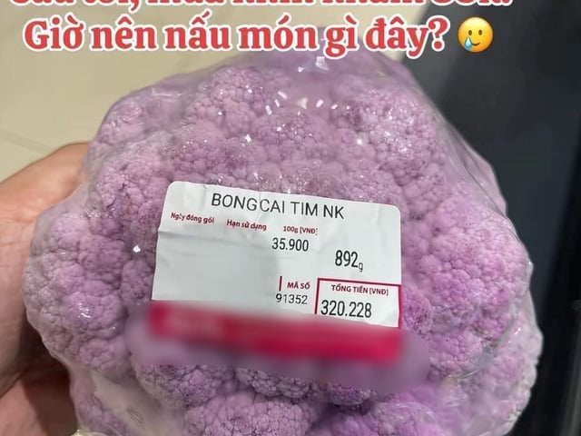 Ảnh bìa bài viết 1017728