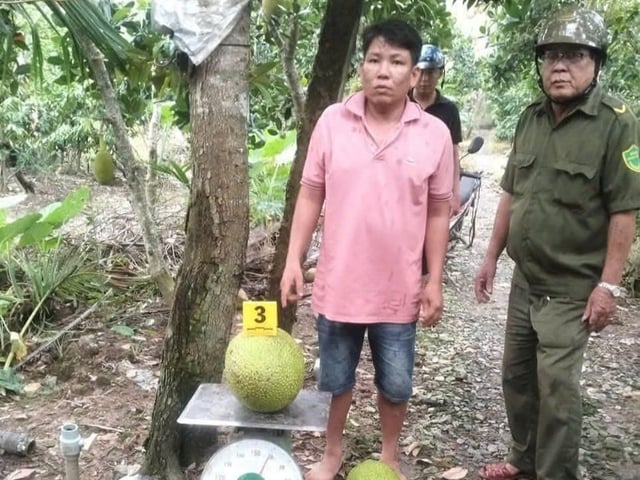 Ảnh bìa bài viết 1017731