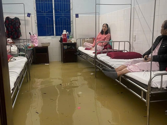 Ảnh bìa bài viết 1017755