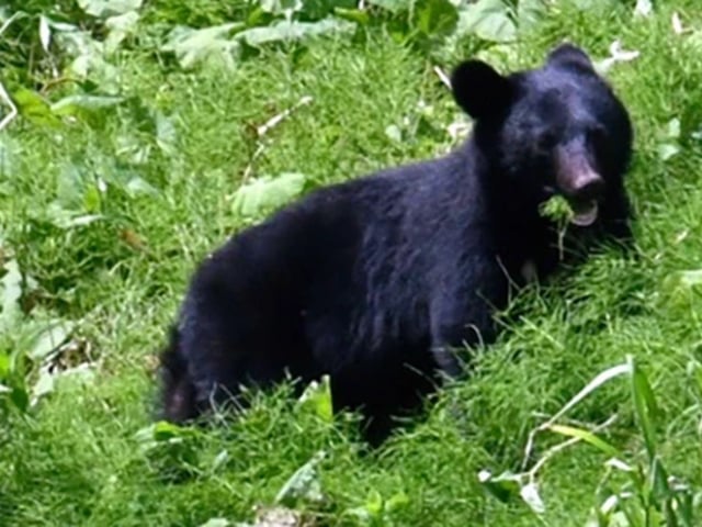 Ảnh bìa bài viết 1017940