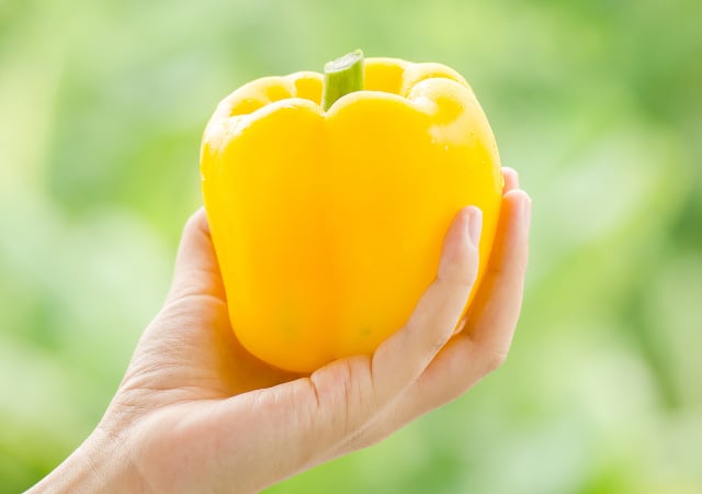 Ảnh bìa bài viết 1017951