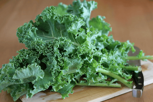 Ảnh bìa bài viết 1017992