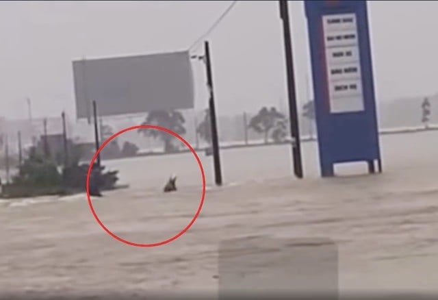 Ảnh bìa bài viết 1018043