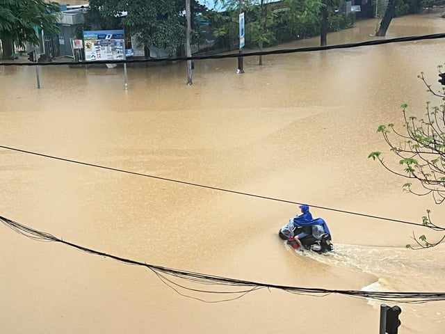 Ảnh bìa bài viết 1018052