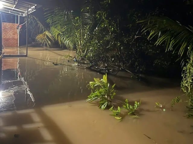 Ảnh bìa bài viết 1018064