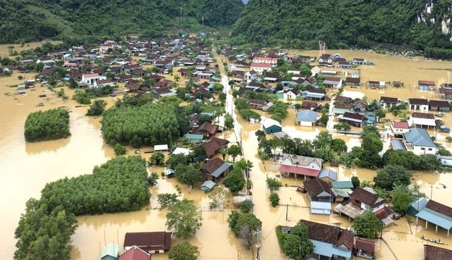 Ảnh bìa bài viết 1018123