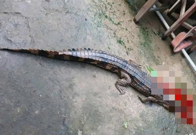 Ảnh bìa bài viết 1018180