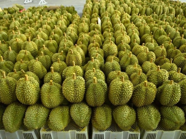 Ảnh bìa bài viết 1018226