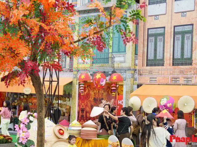 Ảnh bìa bài viết 1018256