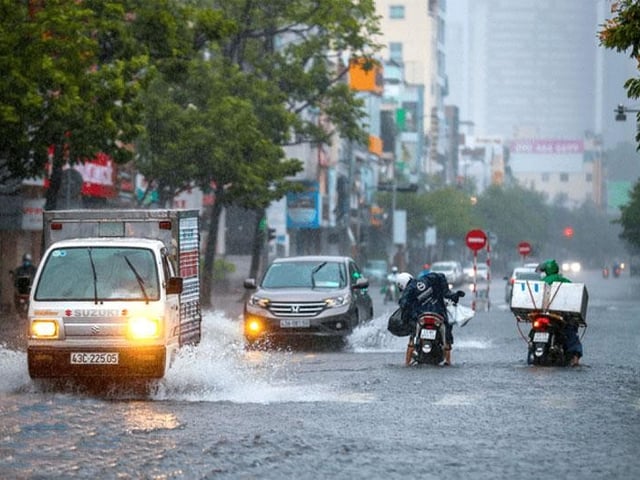 Ảnh bìa bài viết 1018346