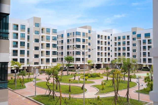 Ảnh bìa bài viết 1018358