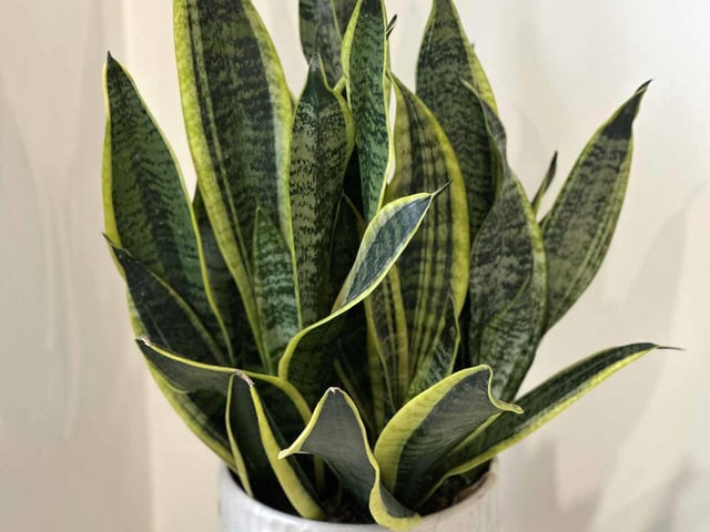 Ảnh bìa bài viết 1018381